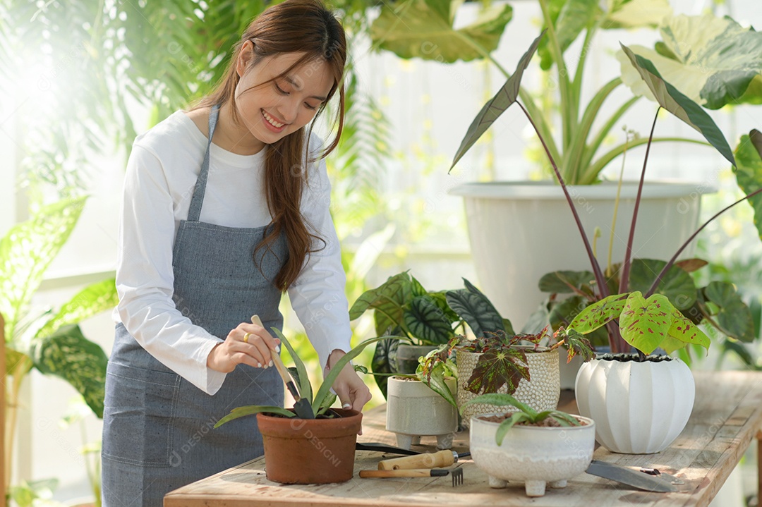 Jovem está cuidando de árvores em uma estufa, plantando árvores em uma estufa, plantando equipamentos, plantando árvores.