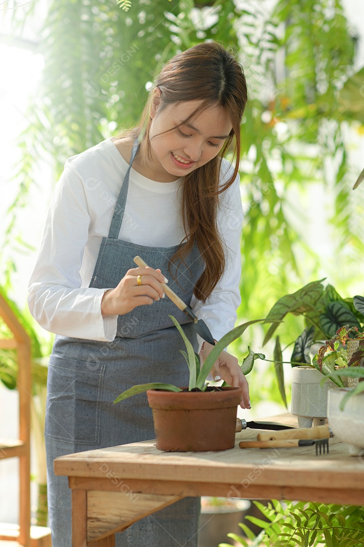 Jovem está cuidando de árvores em uma estufa, plantando árvores em uma estufa, plantando equipamentos, plantando árvores.