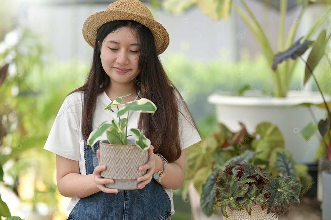 Jovem está cuidando de árvores em uma estufa, plantando árvores em uma estufa, plantando equipamentos, plantando árvores.