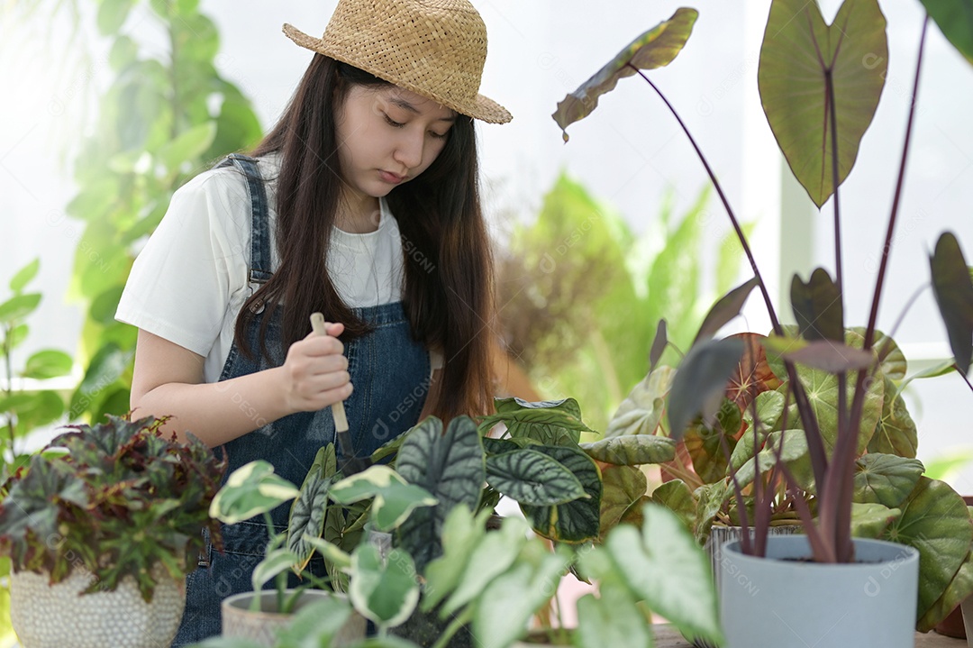 Jovem está cuidando de árvores em uma estufa, plantando árvores em uma estufa, plantando equipamentos, plantando árvores.