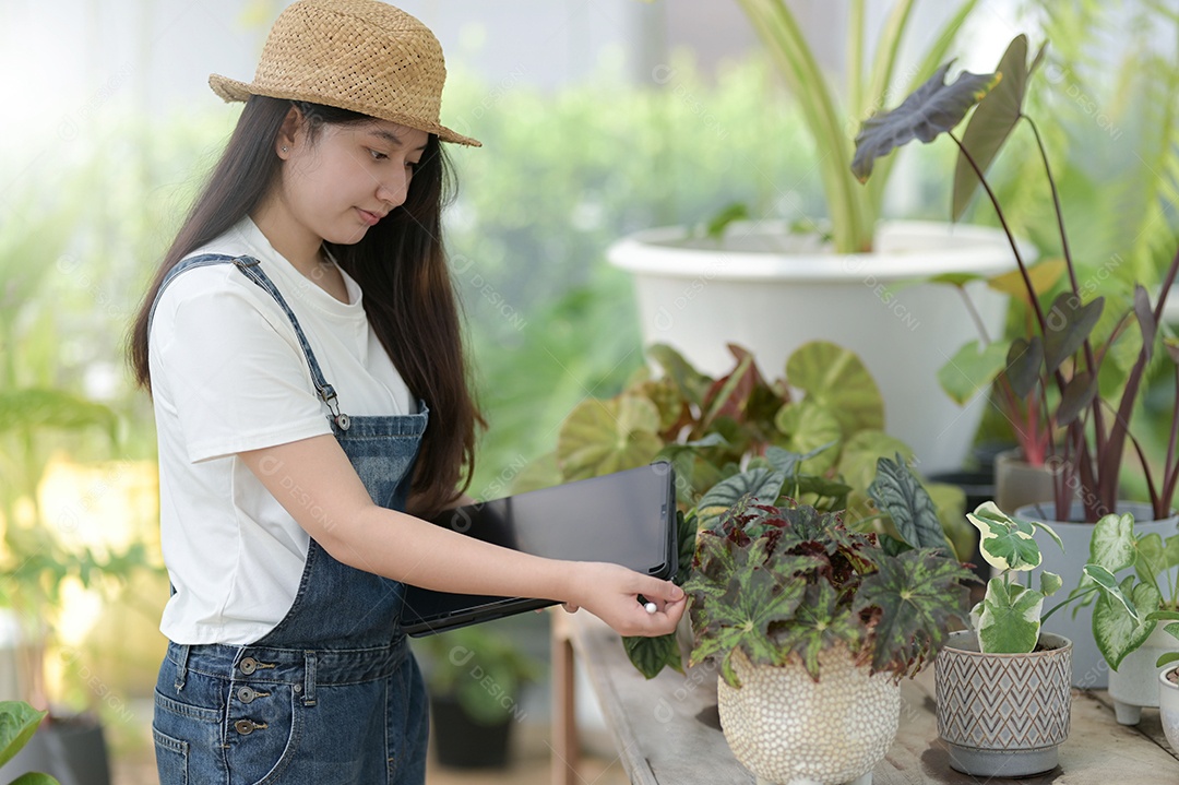 Jovem está cuidando de árvores em uma estufa, plantando árvores em uma estufa, plantando equipamentos, plantando árvores.