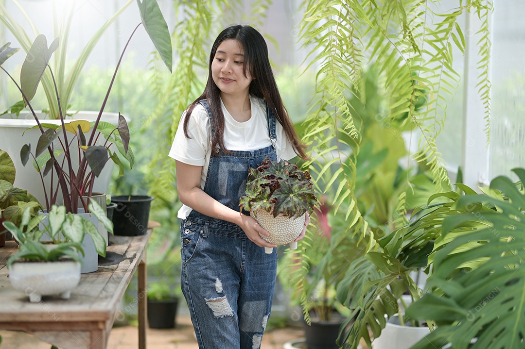 Jovem mulher plantando e cuidando de árvores em estufas, plantando e cuidando de equipamentos, pequenas empresas.