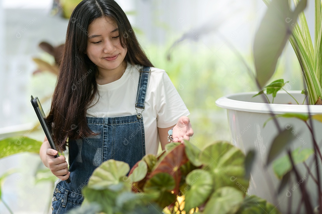 Jovem mulher plantando e cuidando de árvores em estufas, plantando e cuidando de equipamentos, pequenas empresas.