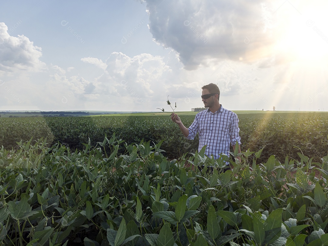 Homem agricultor sobre seu plantio