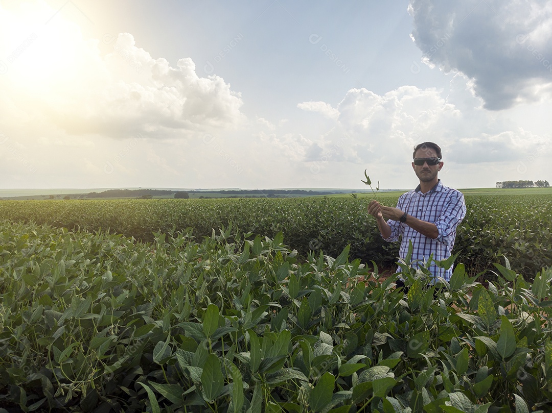 Homem agricultor sobre seu plantio