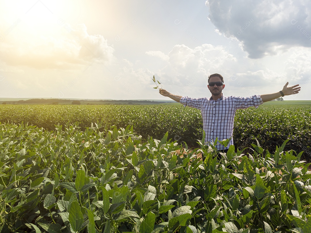 Homem agricultor sobre seu plantio