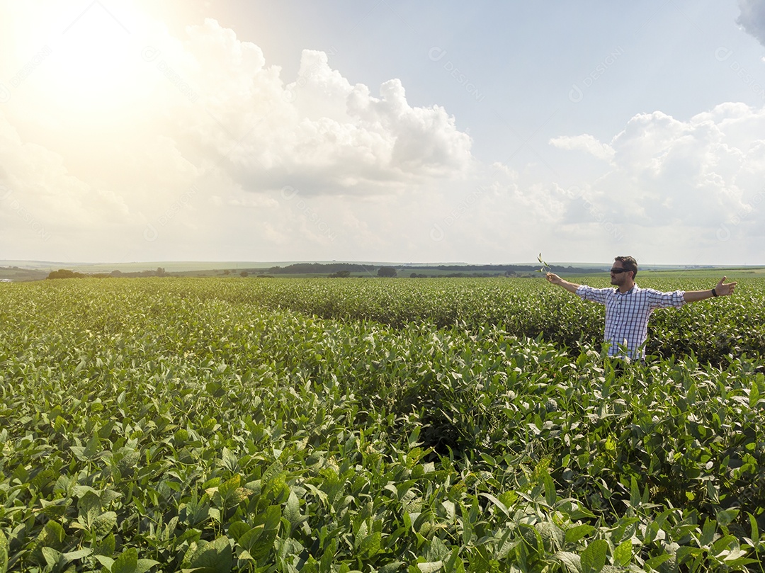 Homem agricultor sobre seu plantio