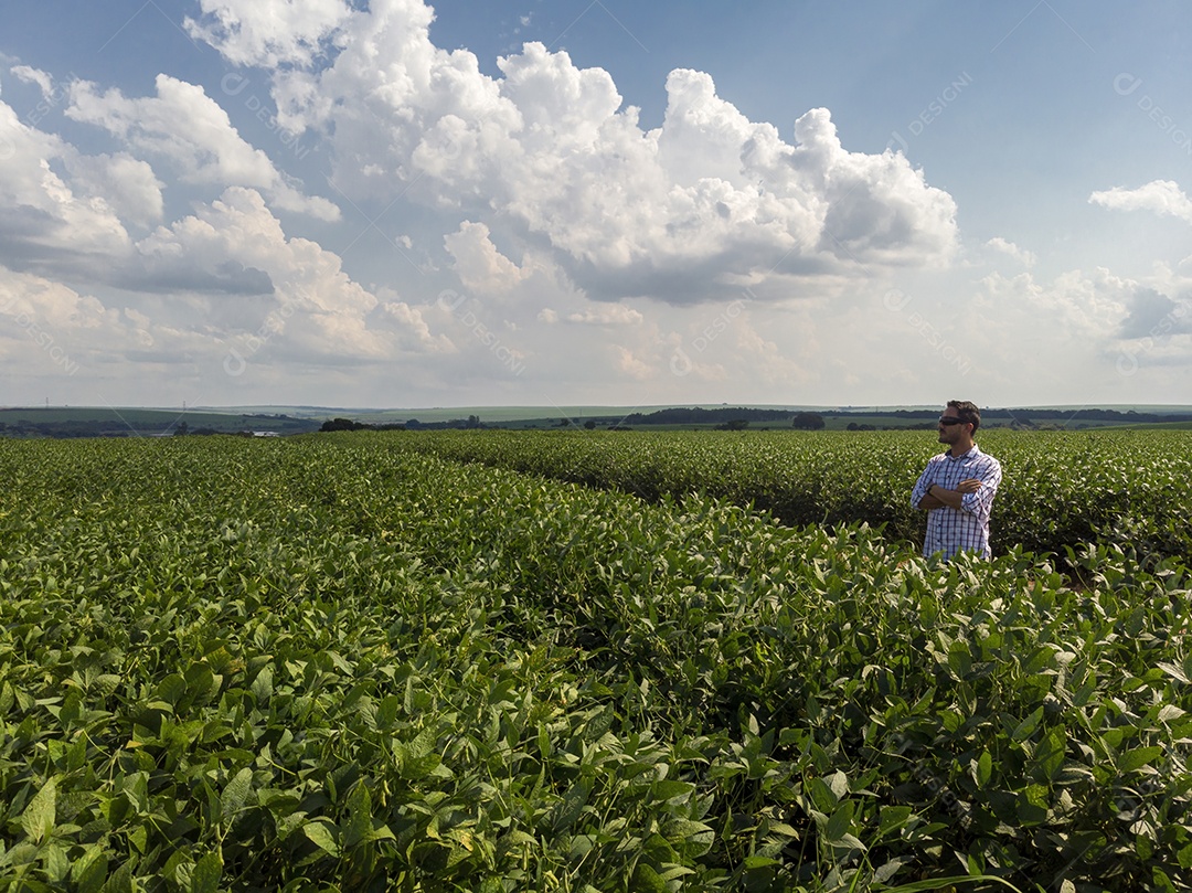 Homem agricultor sobre seu plantio