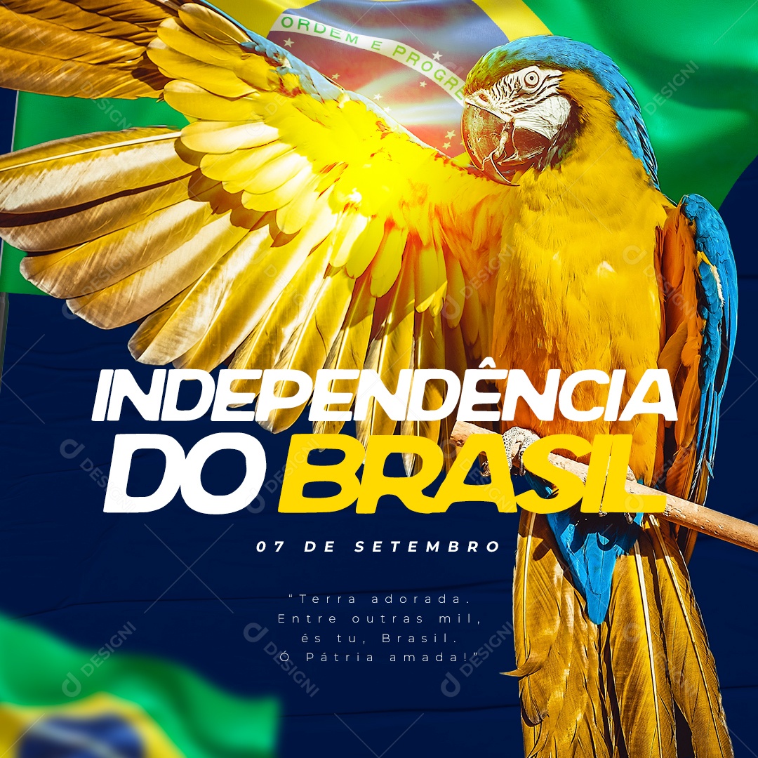 Social Media Independência do Brasil Terra Adorada PSD Editável