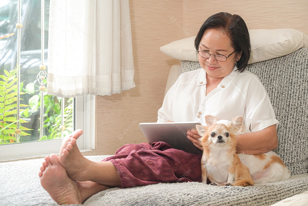 Mulher asiática idosa sentada em um sofá está usando um tablet. Ela sorriu feliz, cachorro chihuahua sentado ao lado.