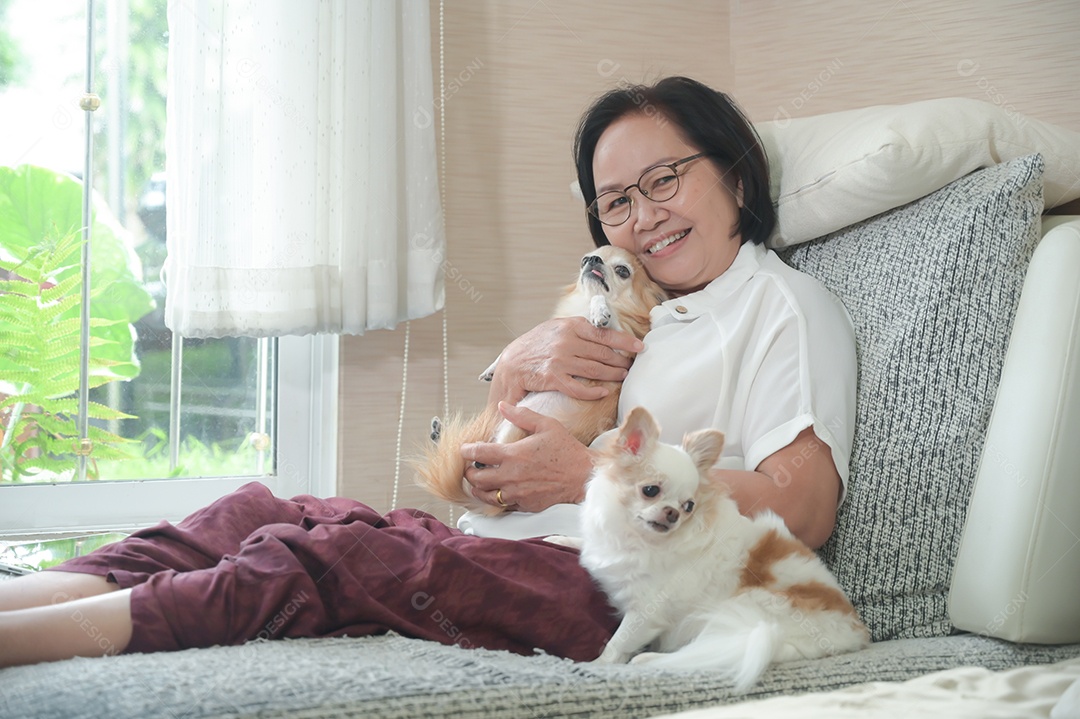 Idosos estão sentados felizes descansando no sofá com os cães.