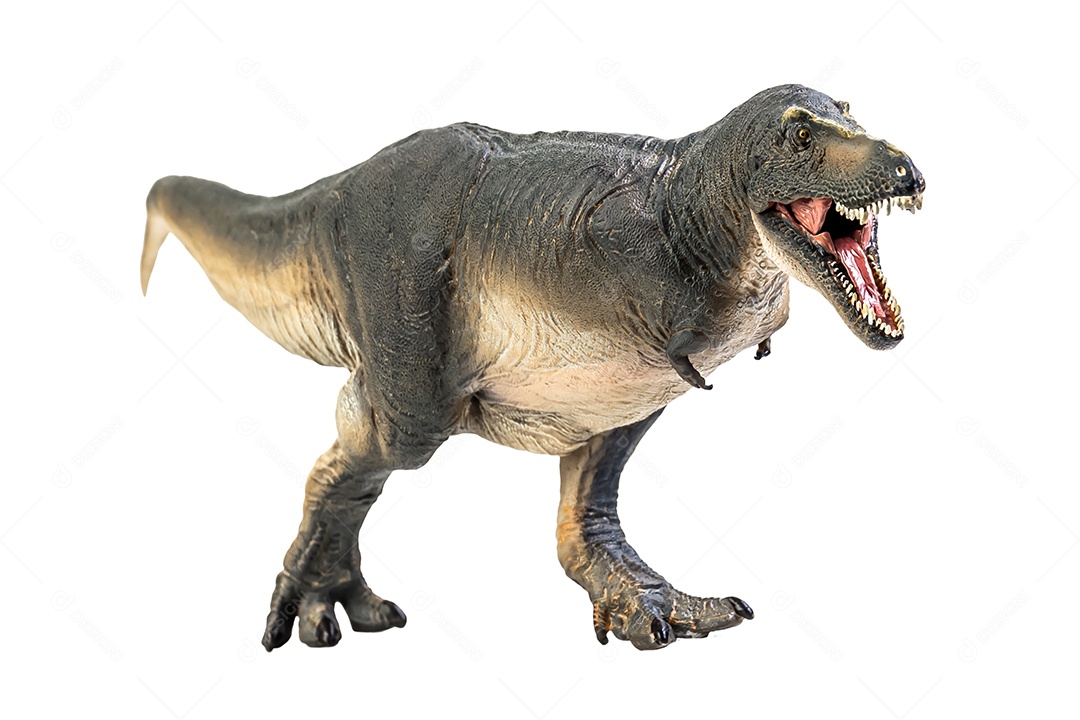 Dinossauro Tarbosaurus em fundo branco isolado Traçado de recorte