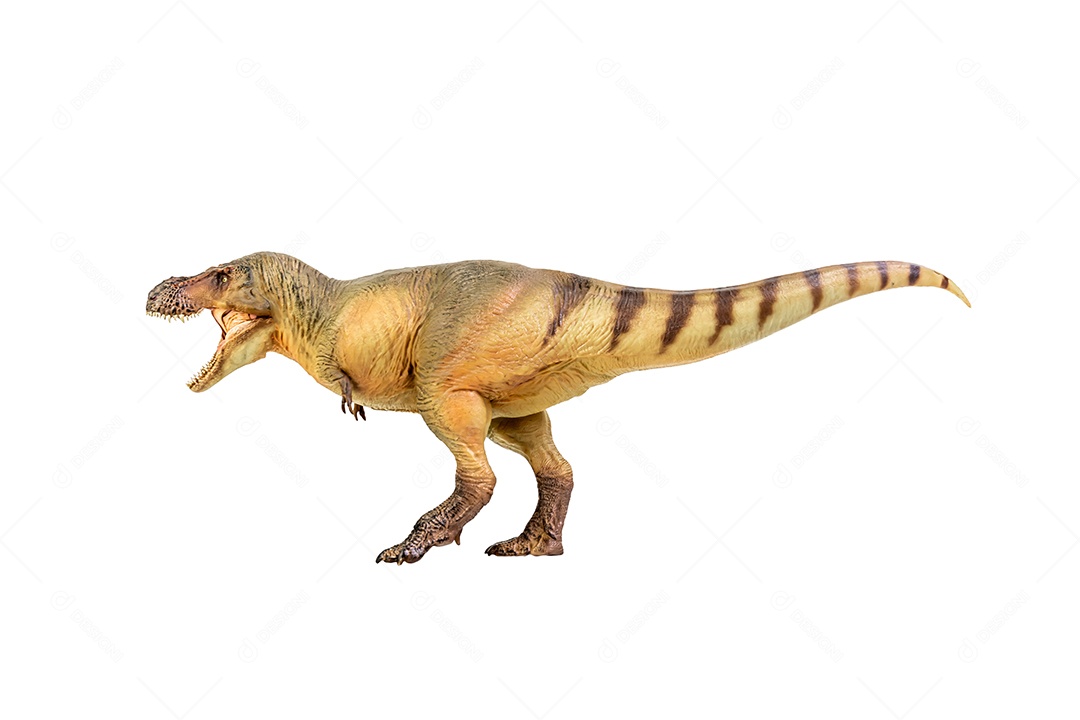 Dinossauro Tiranossauro Rex em fundo branco isolado Trajeto de recorte