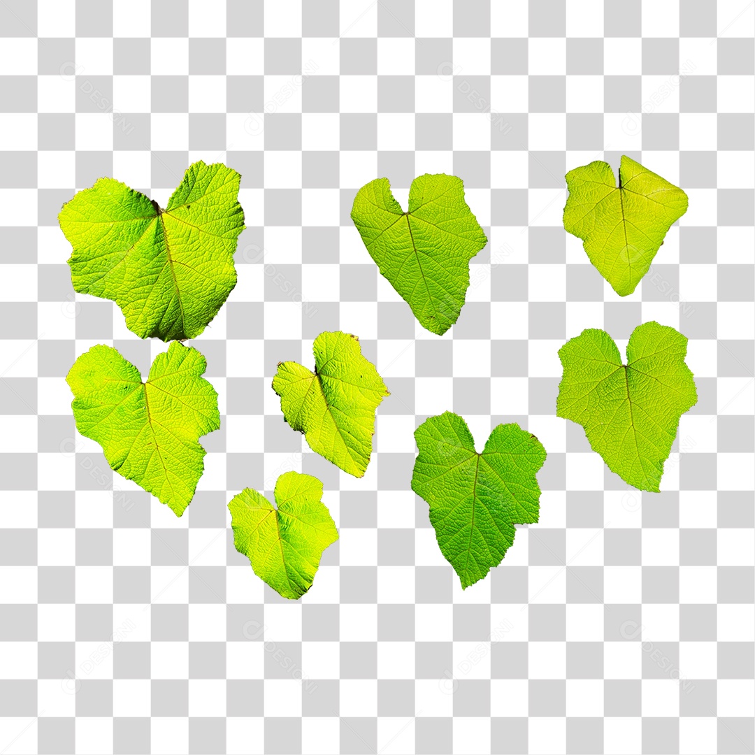 Objeto 3D Folhas Para Composição PNG Transparente