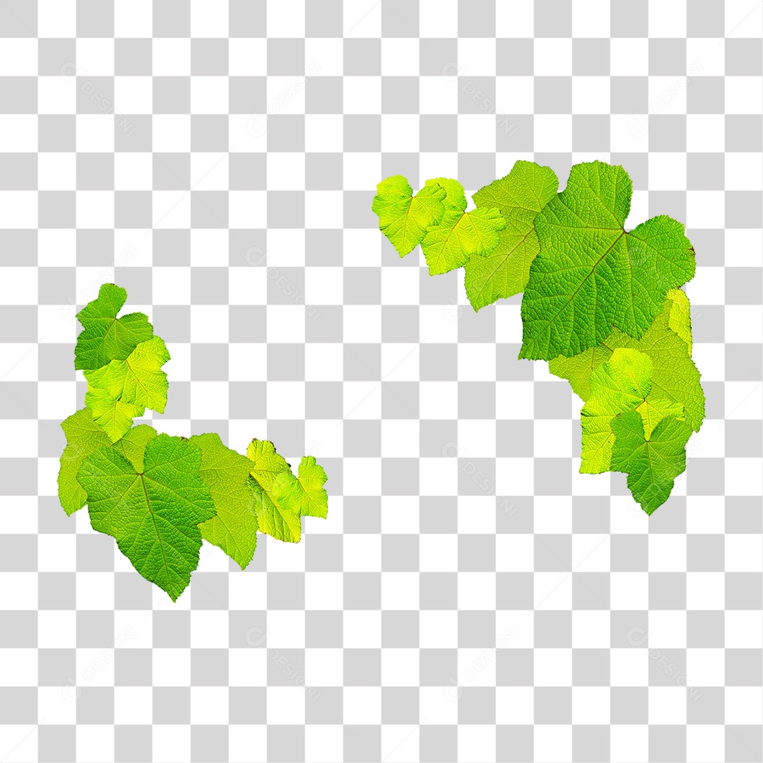 Objeto 3D Folhas Para Composição PNG Transparente