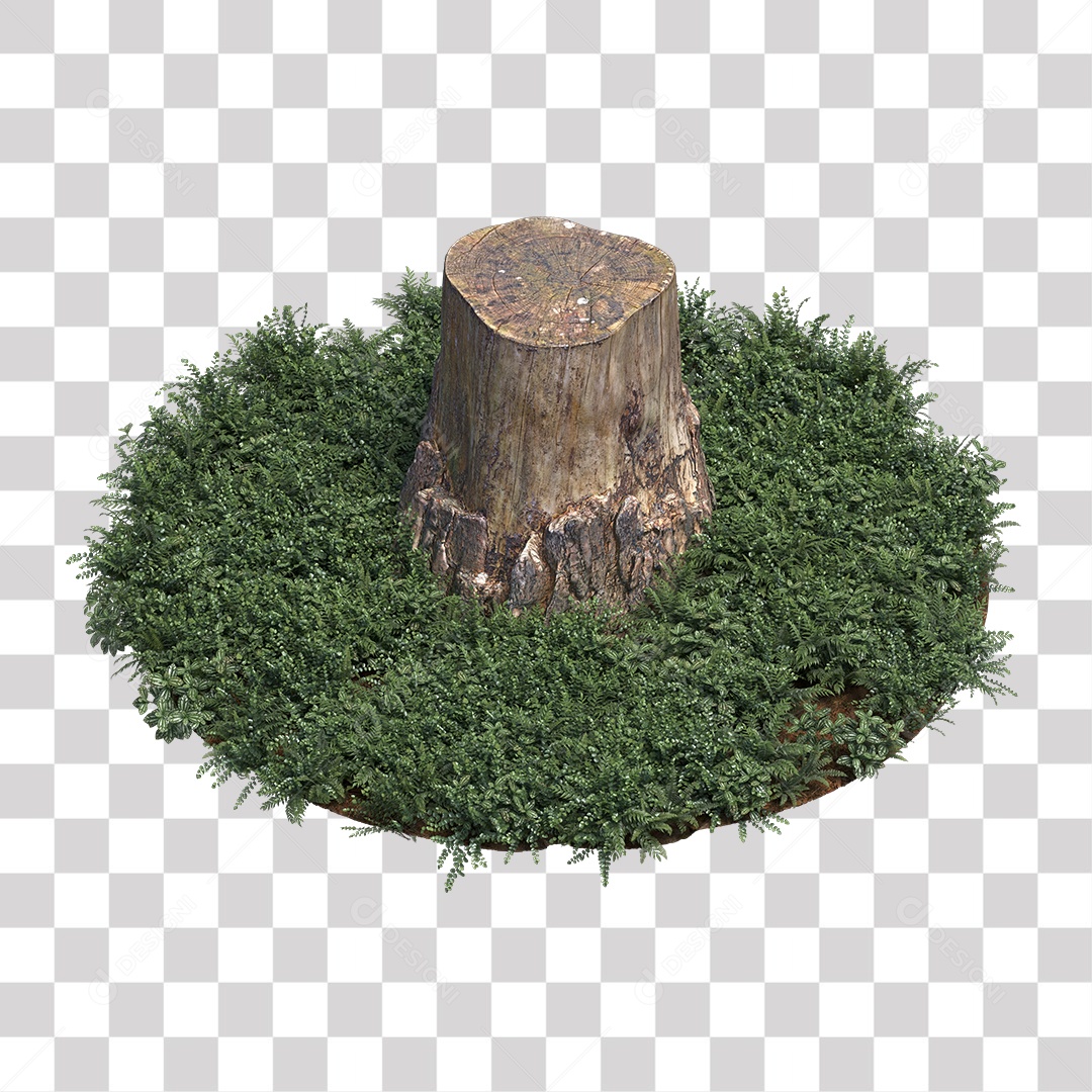 Tronco de árvore Planta PNG Transparente