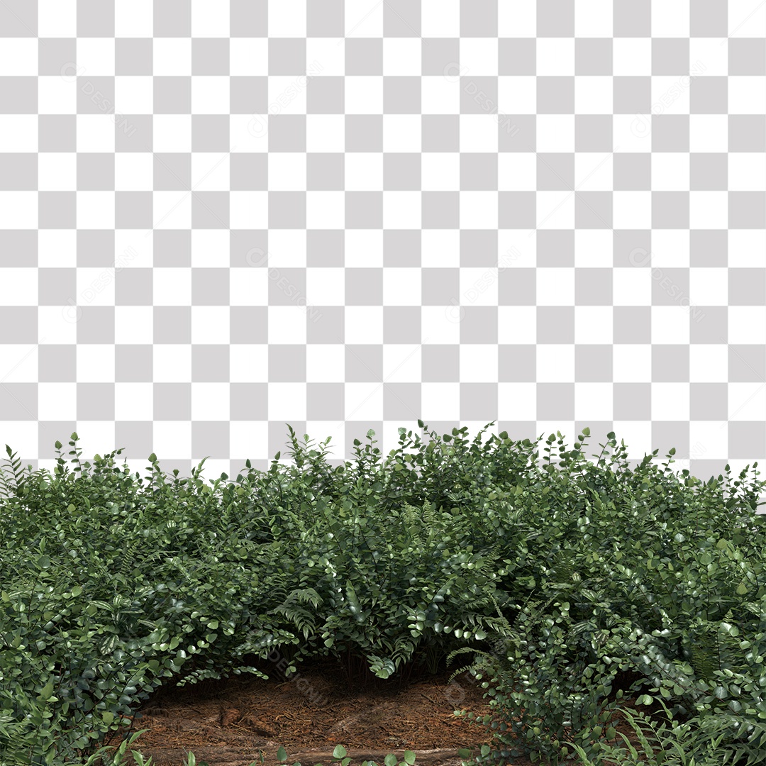 Plant with green stone leaves PNG Transparent