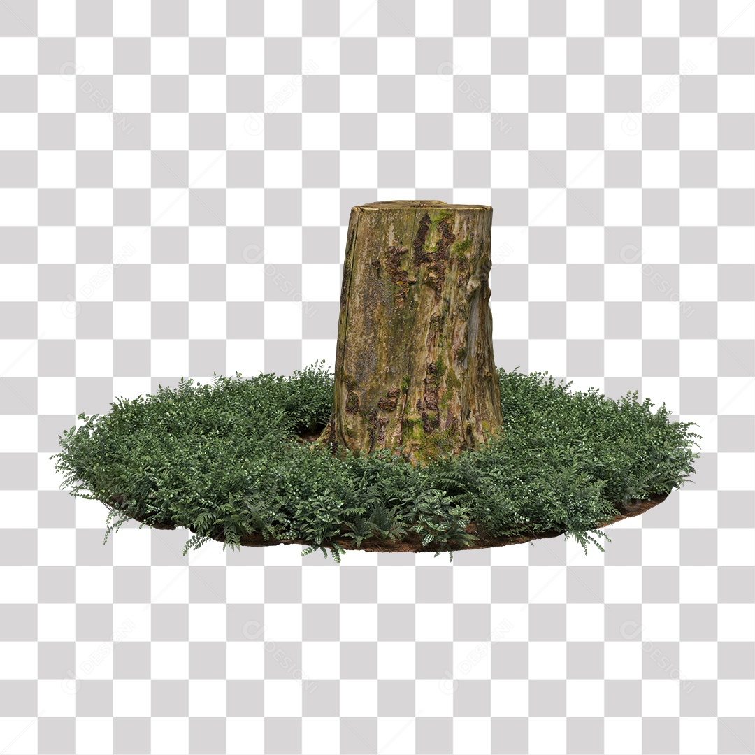 Tronco de árvore Planta PNG Transparente