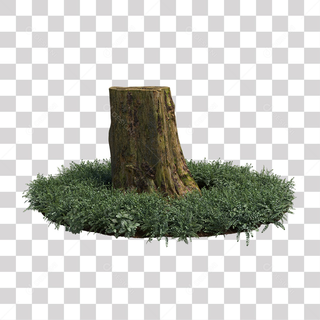 Tronco de árvore Planta PNG Transparente