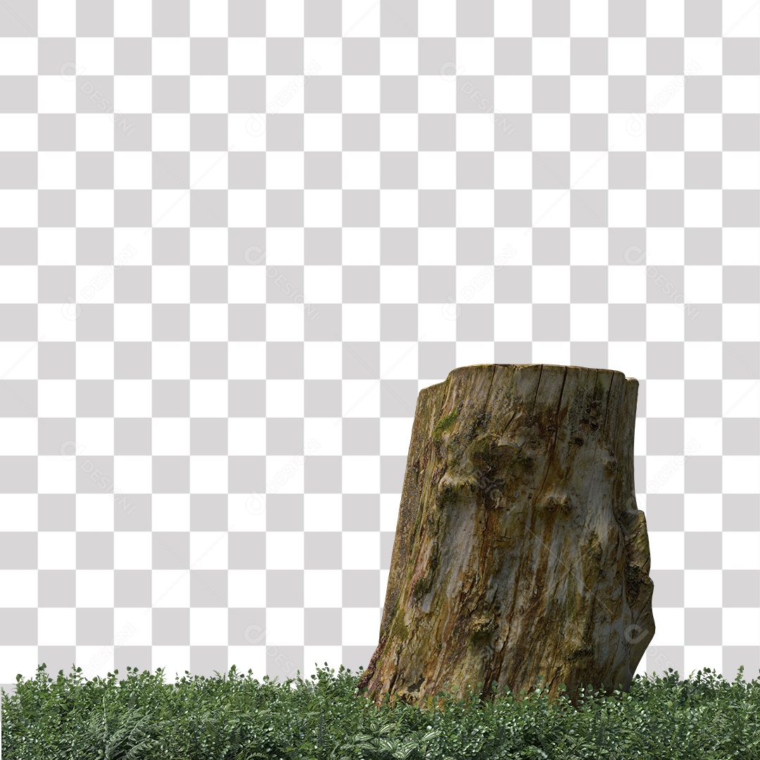 Tronco de árvore Planta PNG Transparente