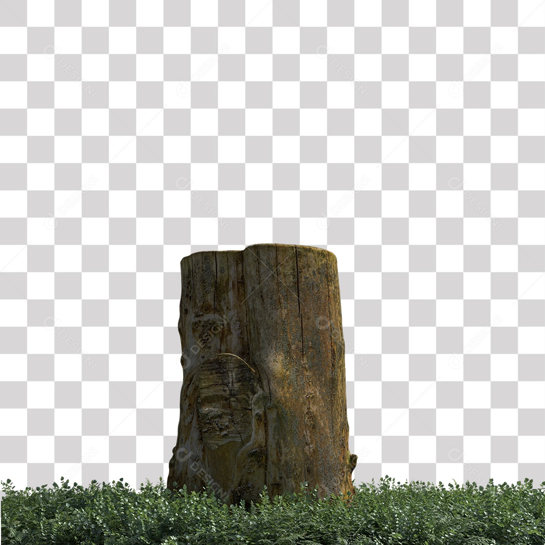 Tronco de árvore Planta PNG Transparente