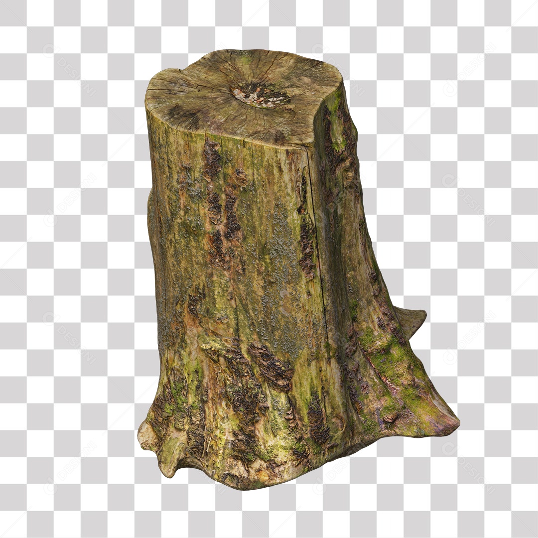 Tronco de árvore Planta PNG Transparente