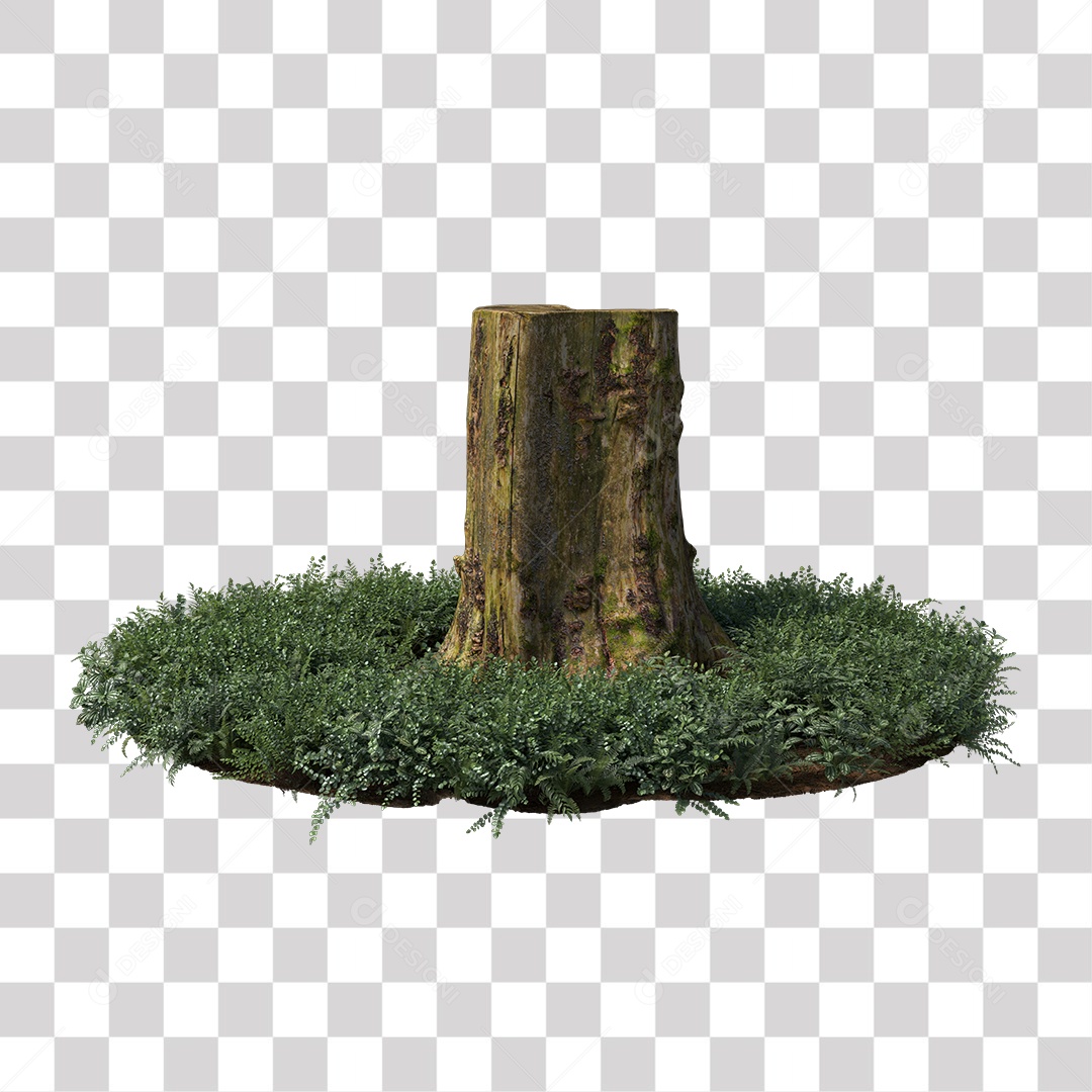 Tronco de árvore Planta PNG Transparente