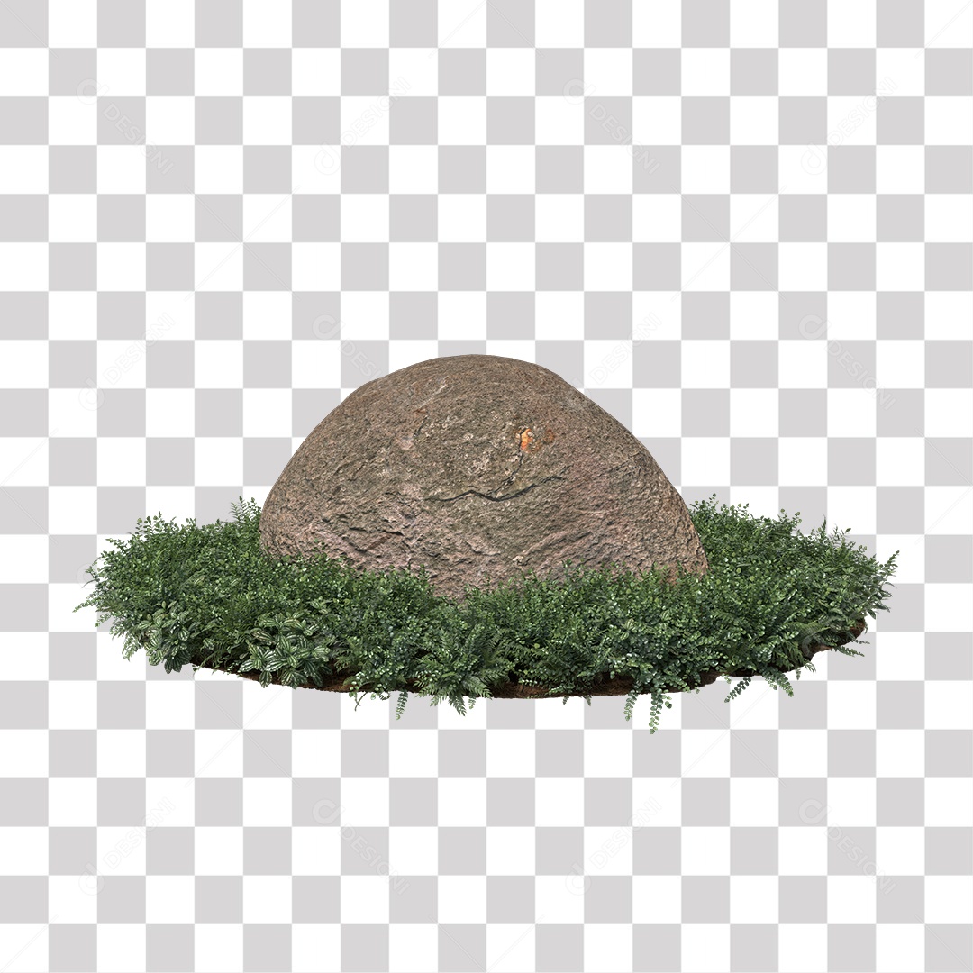 Plant with green stone leaves PNG Transparent