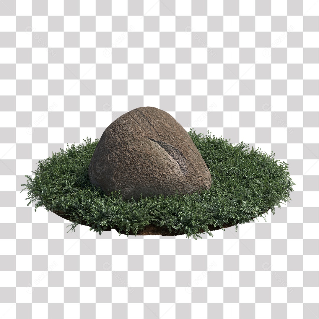 Planta com folhas verdes pedra PNG Transparente