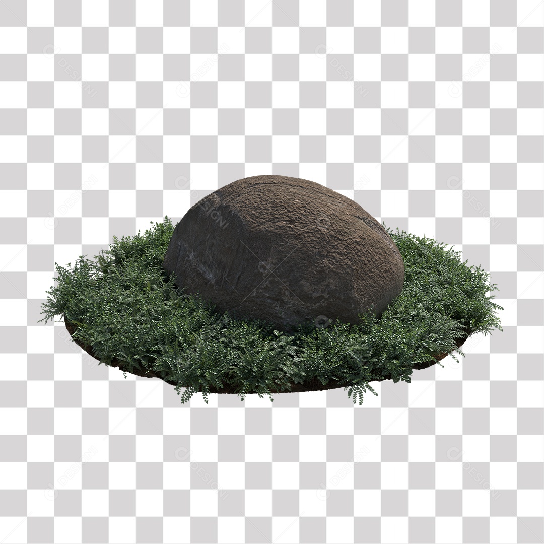 Planta com folhas verdes pedra PNG Transparente