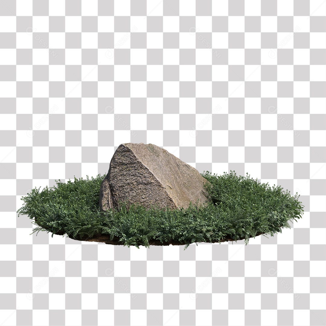 Planta com folhas verdes pedra PNG Transparente