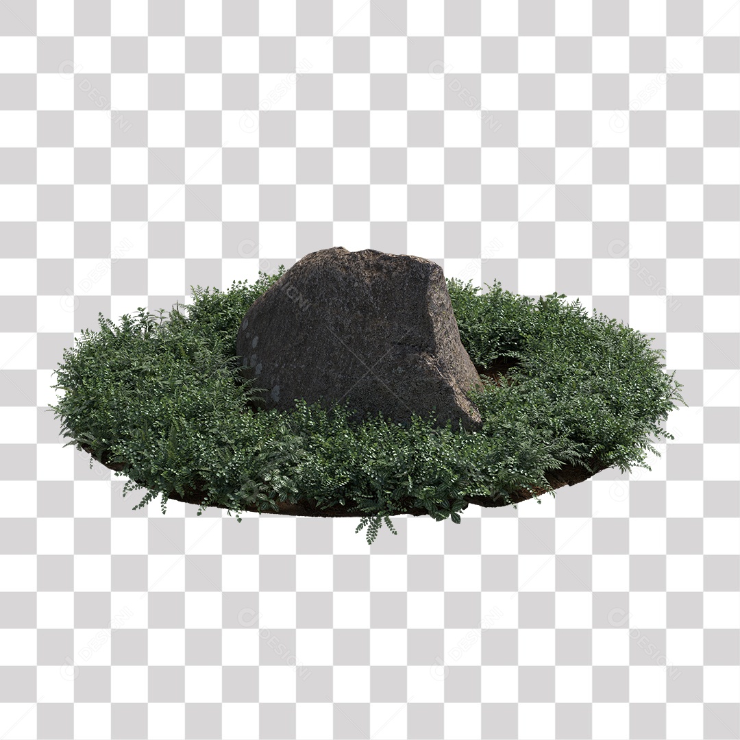 Planta com folhas verdes pedra PNG Transparente