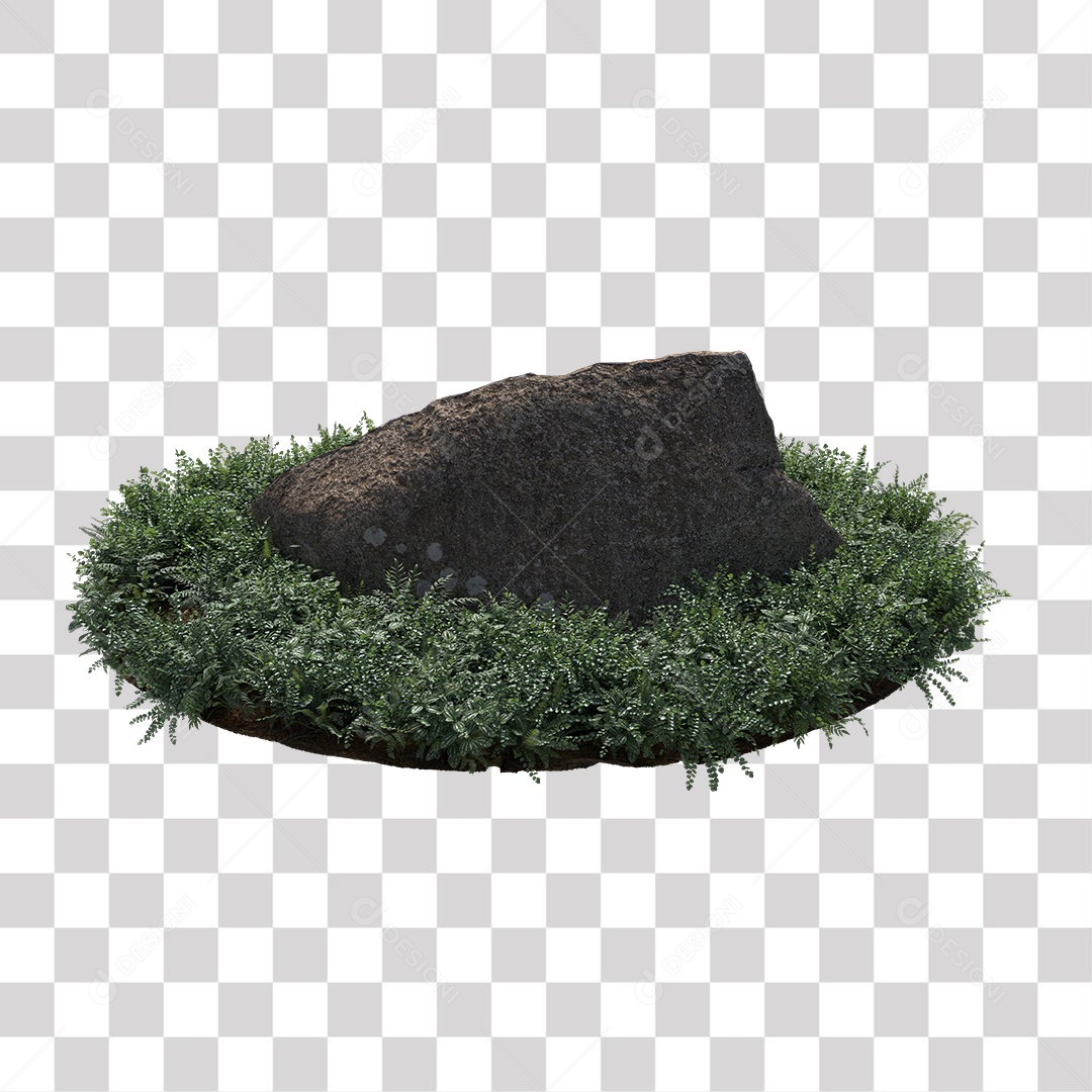 Planta com folhas verdes pedra PNG Transparente