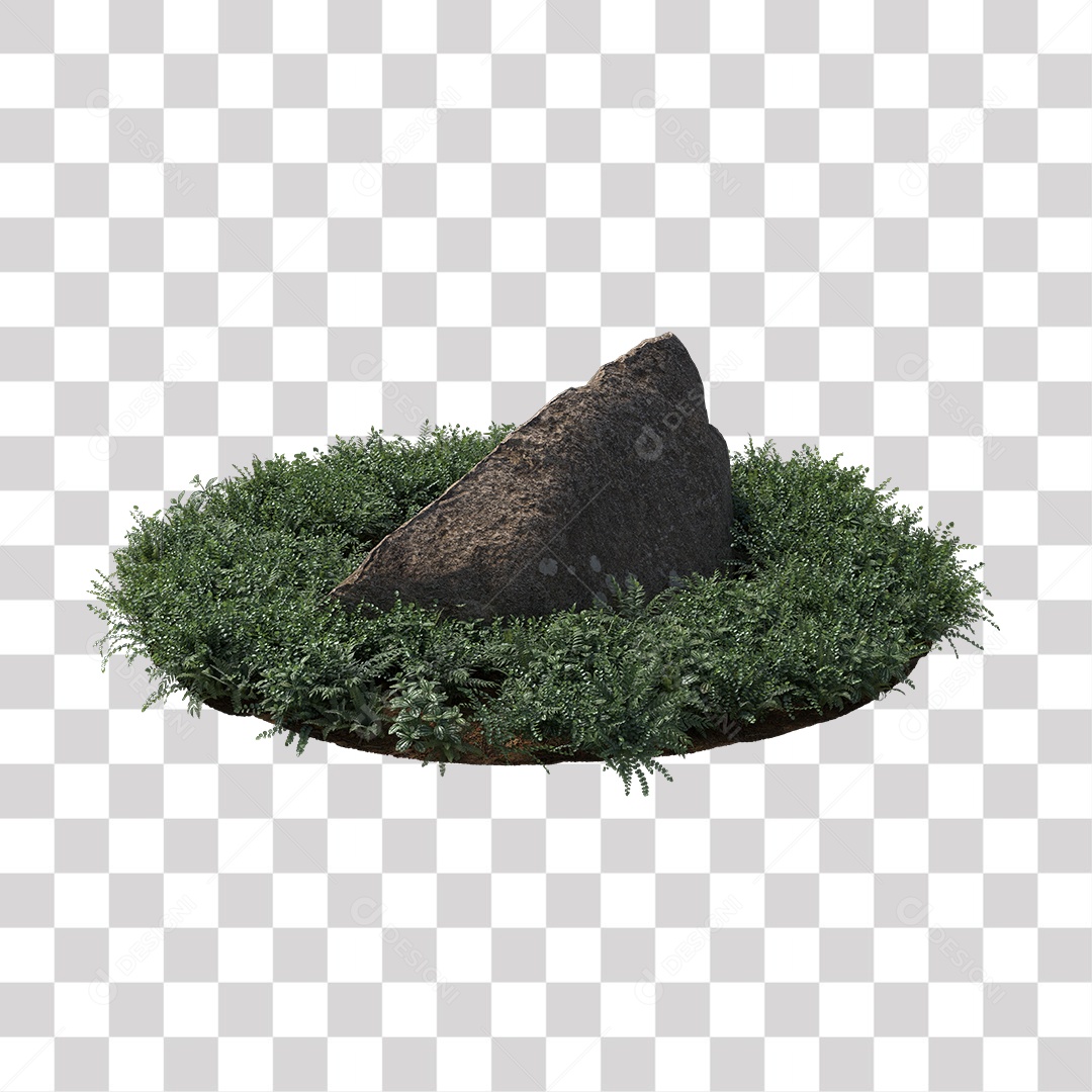 Planta com folhas verdes pedra PNG Transparente