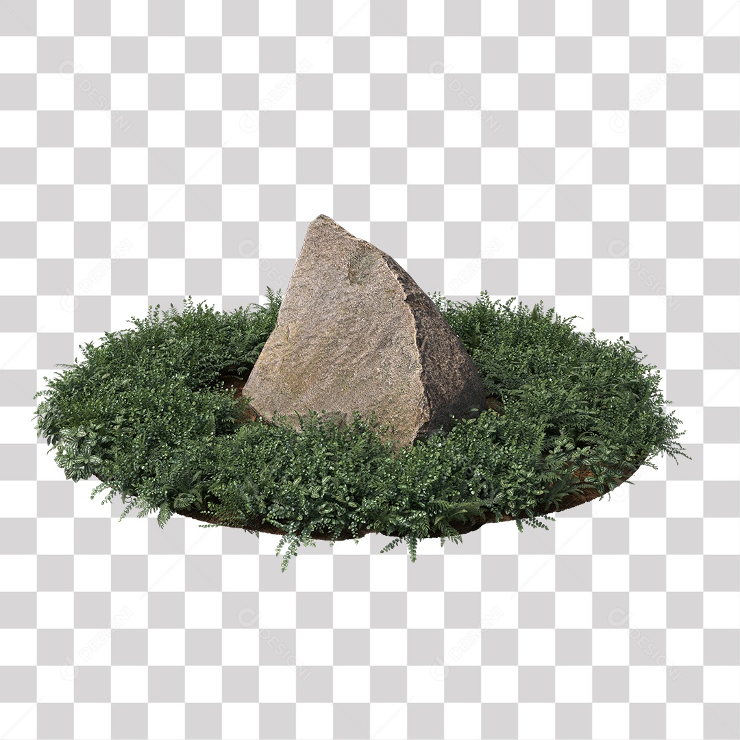 Planta com folhas verdes pedra PNG Transparente