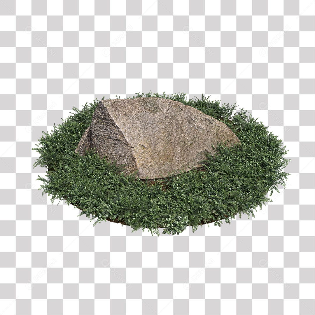 Planta com folhas verdes pedra PNG Transparente