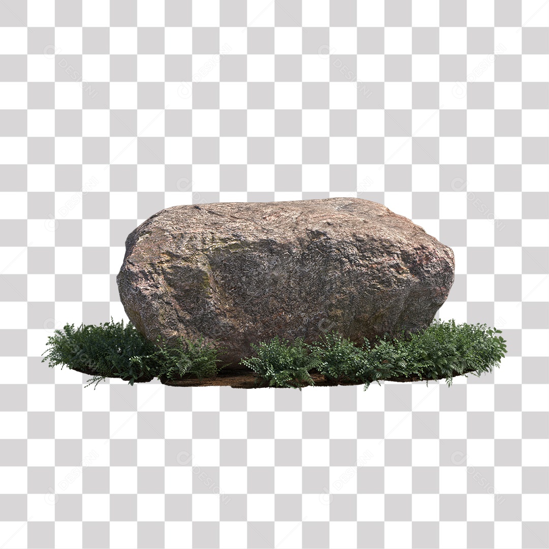 Planta com folhas verdes pedra PNG Transparente