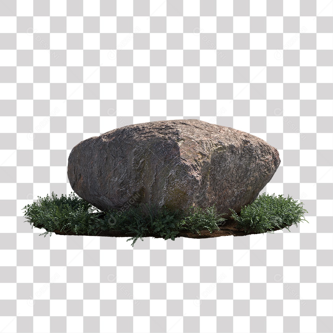 Planta com folhas verdes pedra PNG Transparente