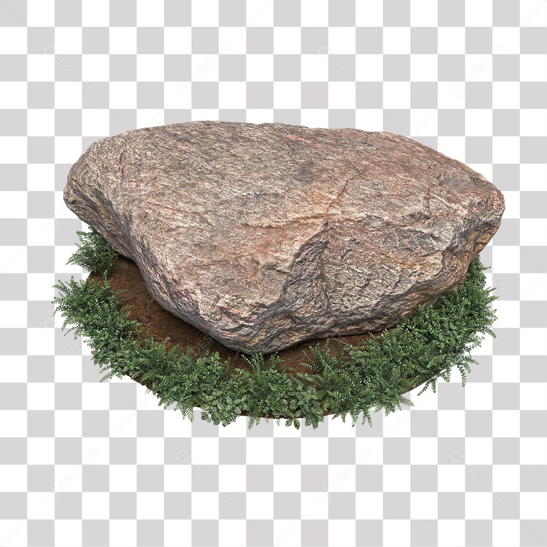 Planta com folhas verdes pedra PNG Transparente