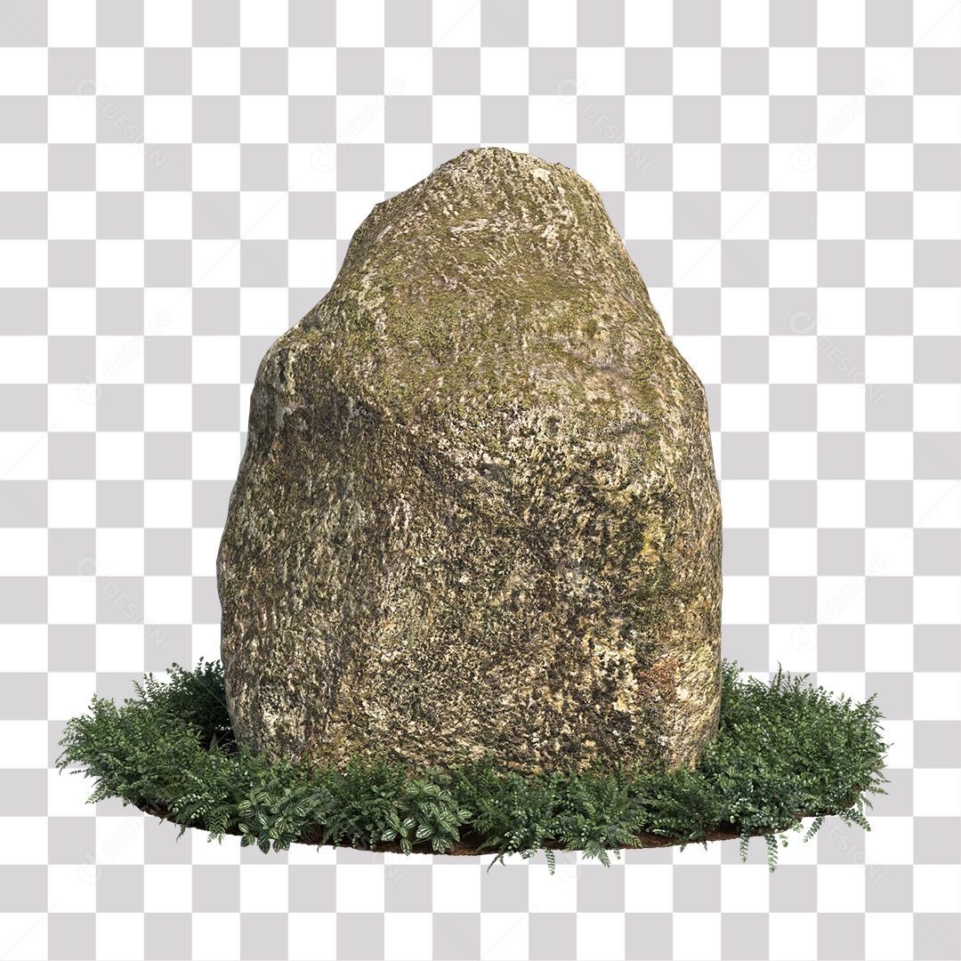 Planta com folhas verdes pedra PNG Transparente