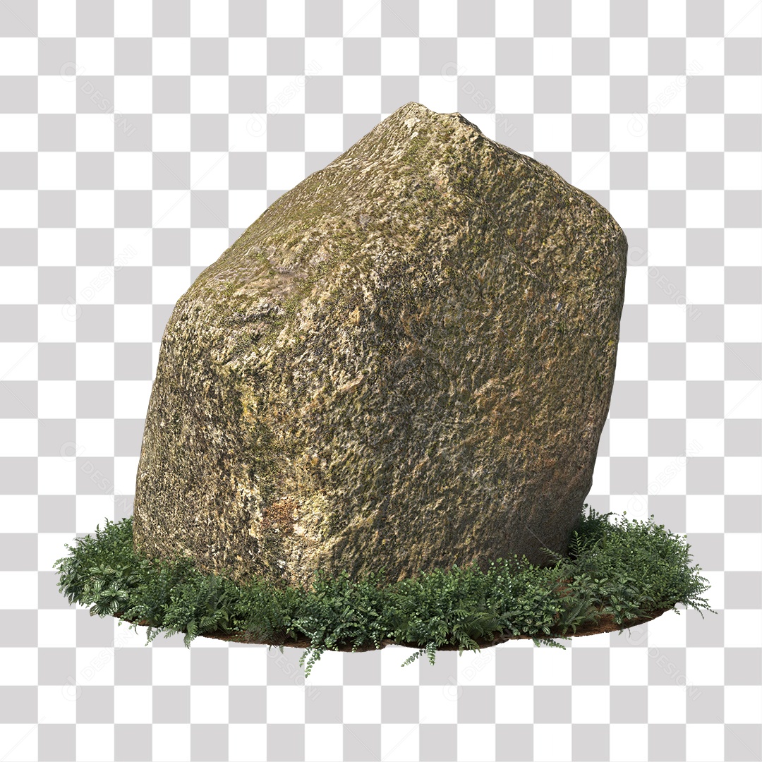 Planta com folhas verdes pedra PNG Transparente