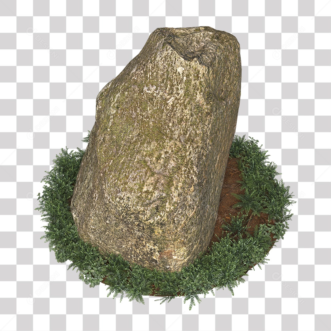 Planta com folhas verdes pedra PNG Transparente