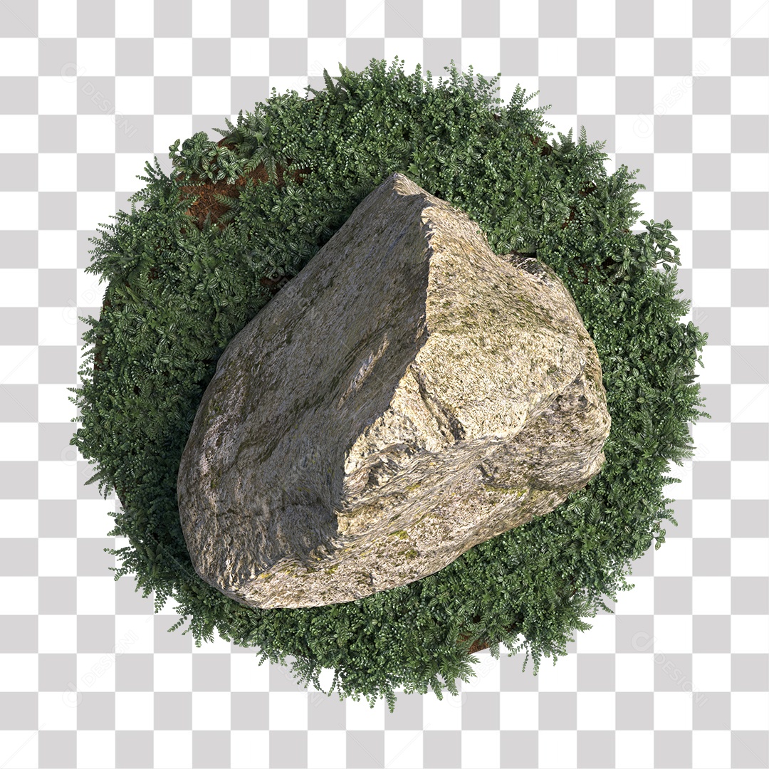 Planta com folhas verdes pedra PNG Transparente