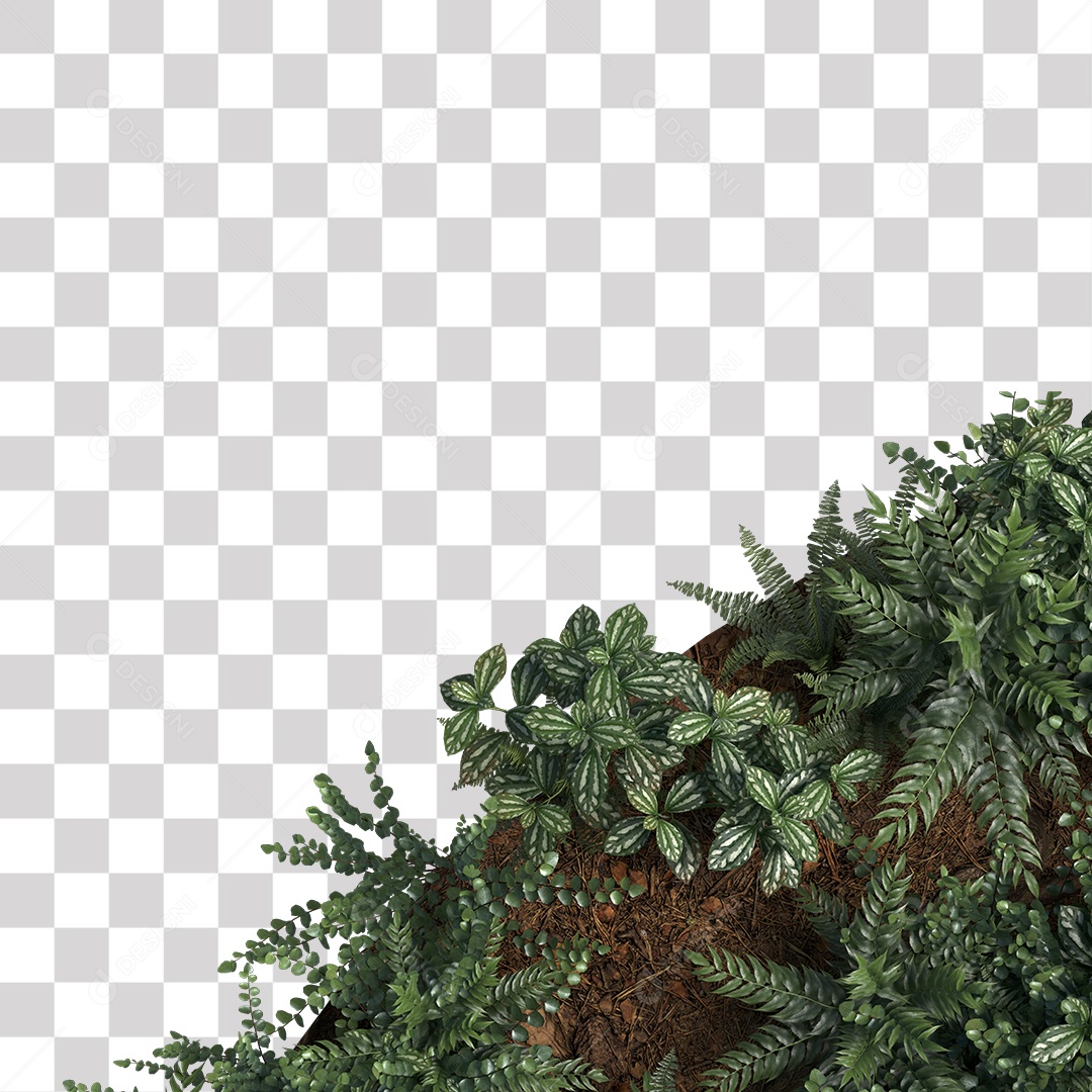Planta com folhas verdes pedra PNG Transparente