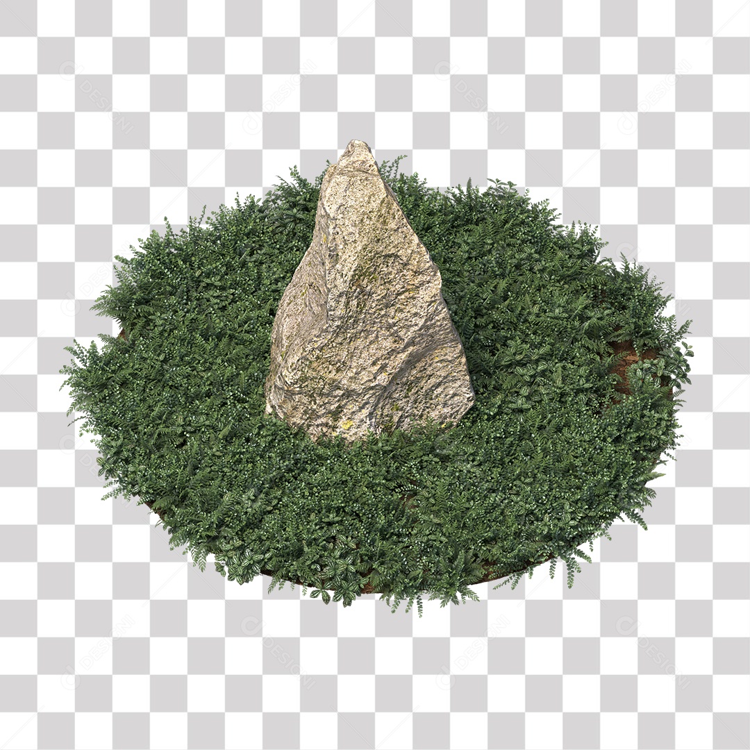 Planta com folhas verdes pedra PNG Transparente