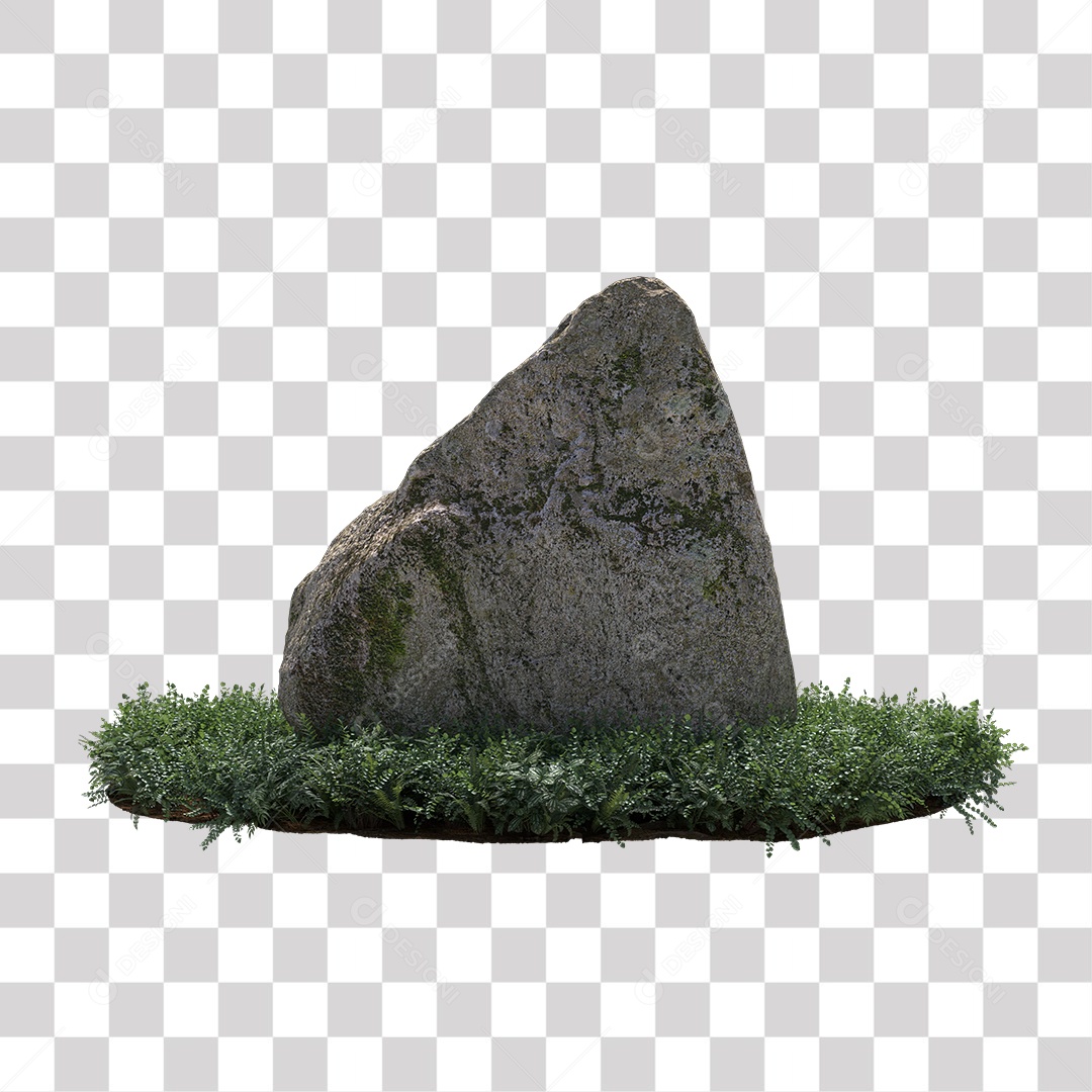 Planta com folhas verdes pedra PNG Transparente