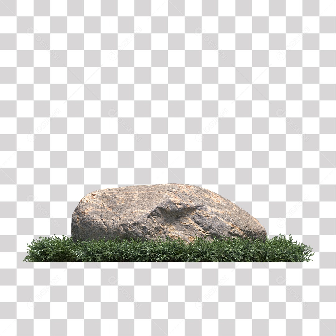 Planta com folhas verdes pedra PNG Transparente