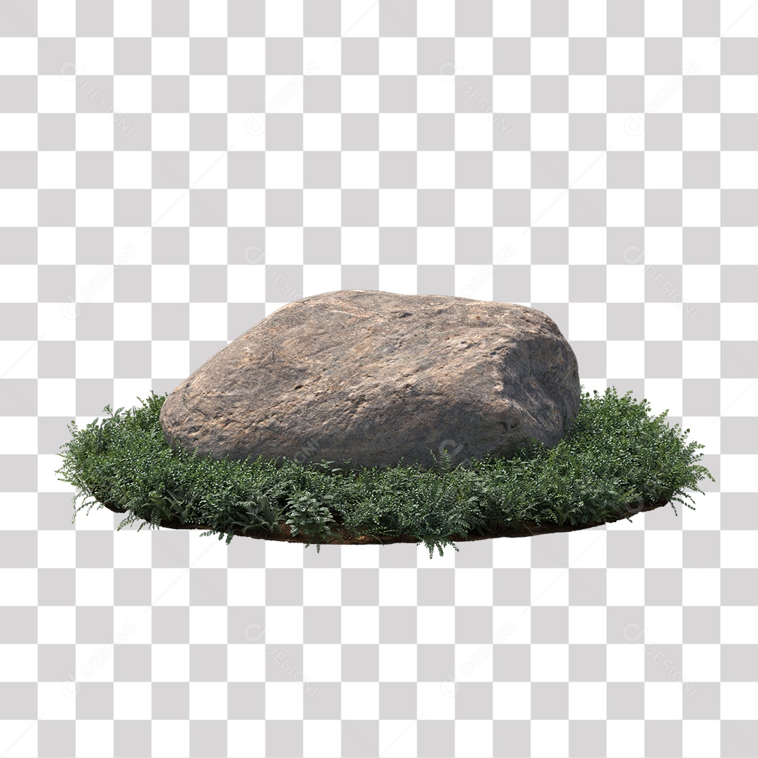 Planta com folhas verdes pedra PNG Transparente