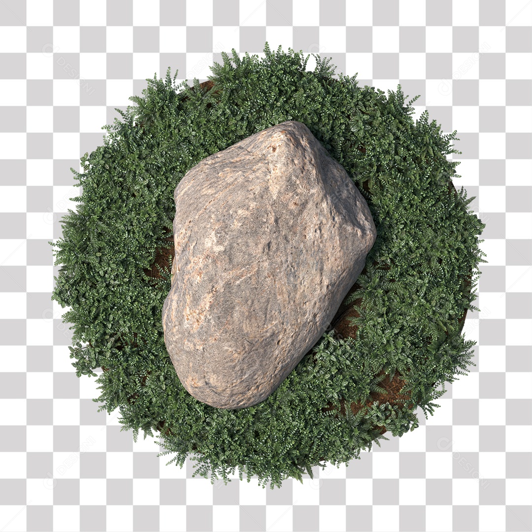 Planta com folhas verdes pedra PNG Transparente