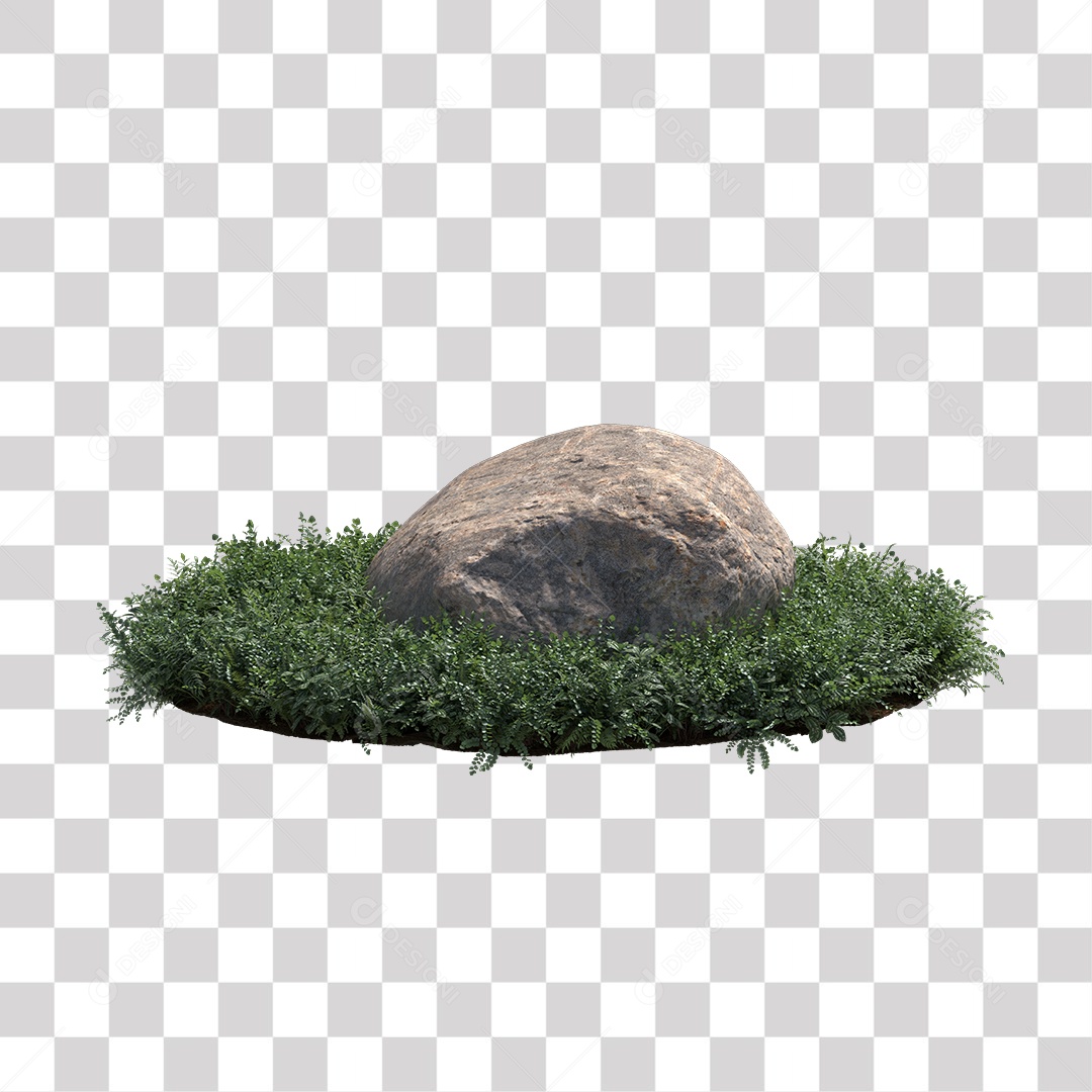 Planta com folhas verdes pedra PNG Transparente
